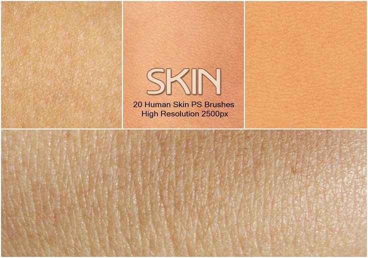 Текстура кожи