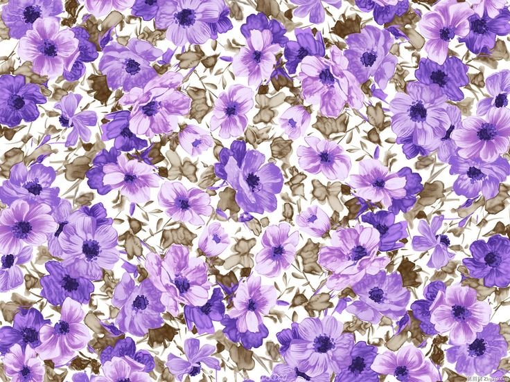 Красивые мелкие цветы