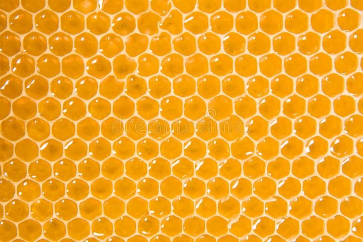 Соты пчелиные