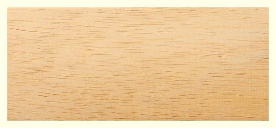 Текстура дерева липа