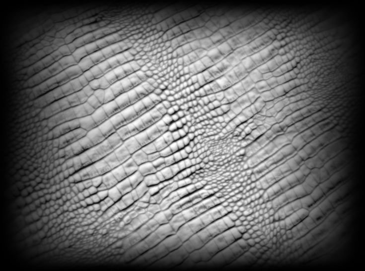 Альфа кожи для Zbrush