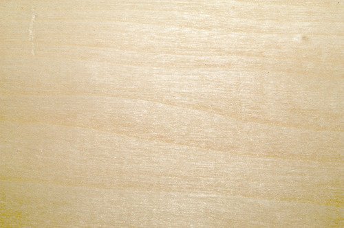 Липа цвет древесины