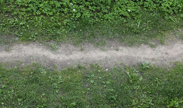 Проселочная дорога вид сверху