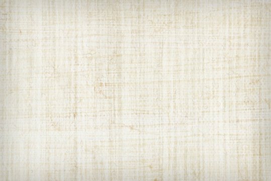 Папирус текстура