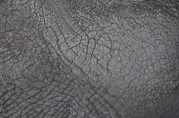 Альфа кожи для Zbrush