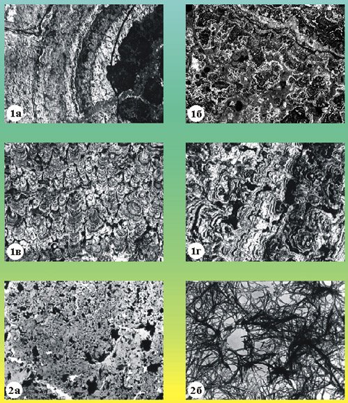 Колломорфная структура руд
