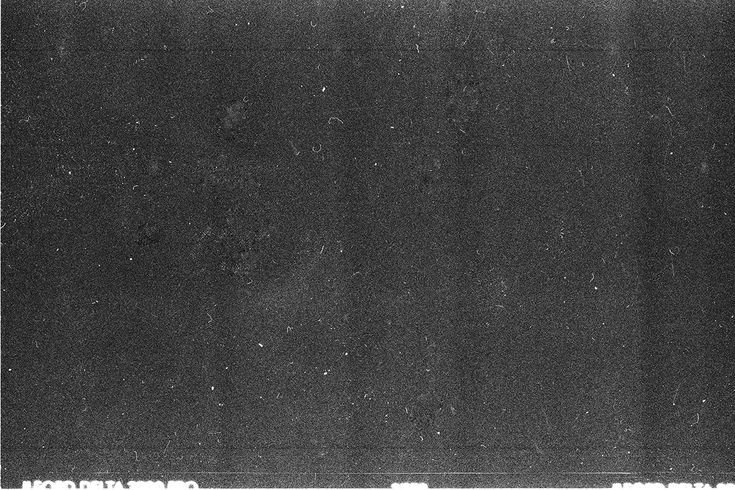 Скан пленочного зерна Ilford Delta 400pr