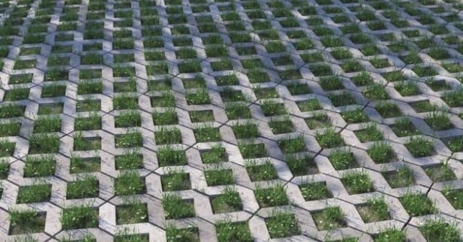 Экопарковка газонная