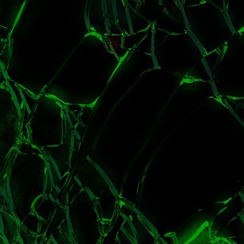 Черно зеленый