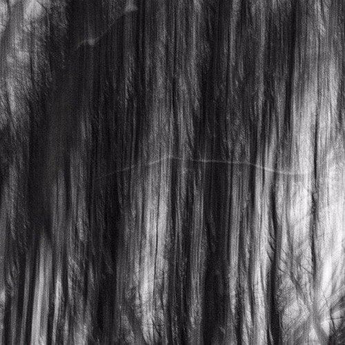 Контраст текстур