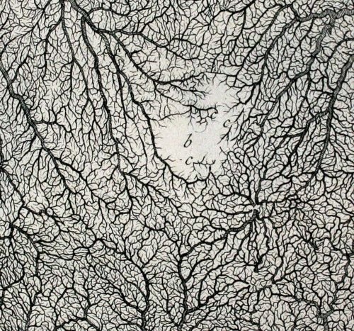 Офорт текстура