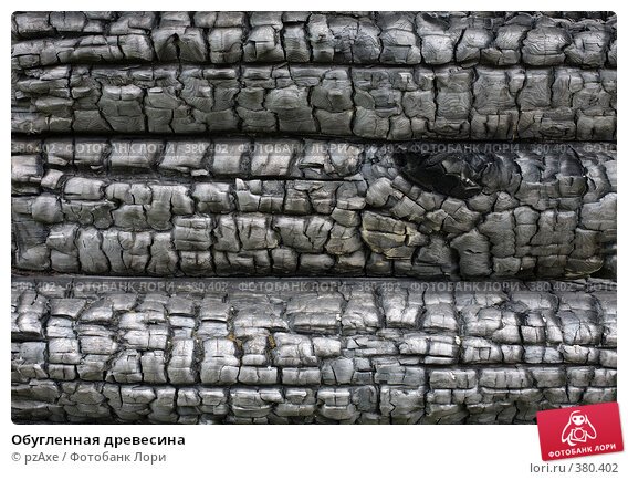 Обугленная древесина