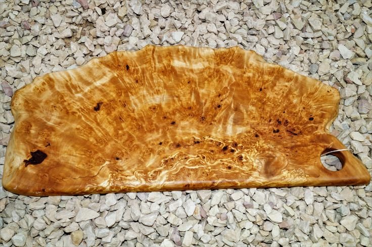 Сувель кап березовый