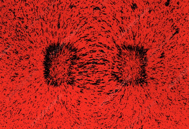 Магнитное поле фон