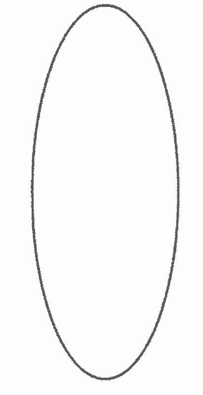 Лепесток ромашки