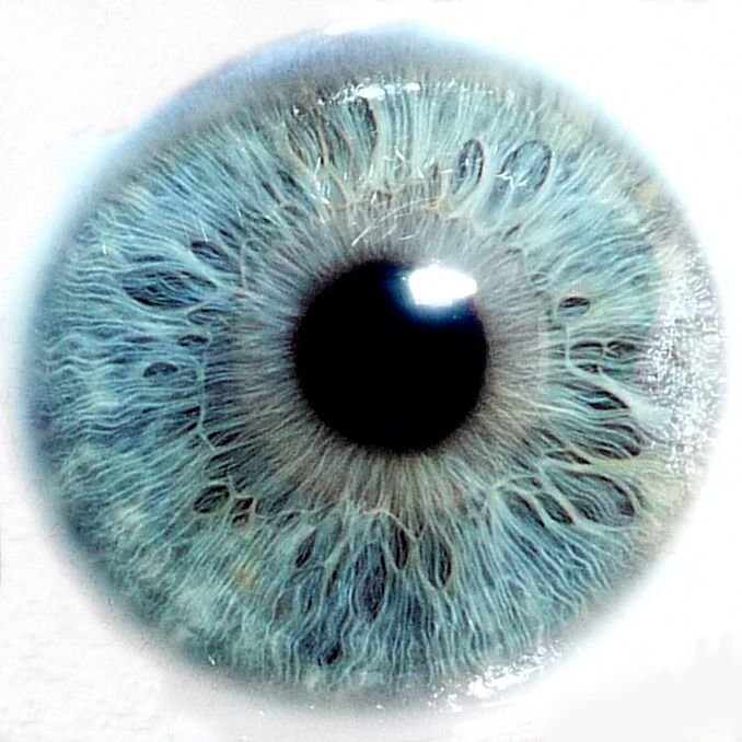 Зрачок глаза