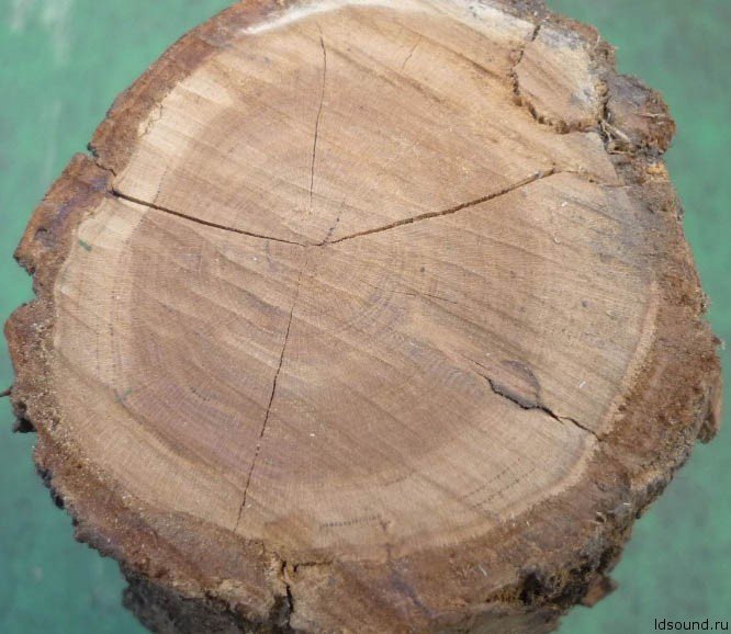 Сливовая древесина