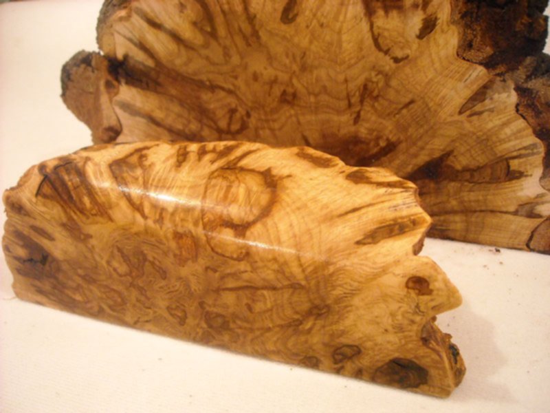 Сувель кап березовый