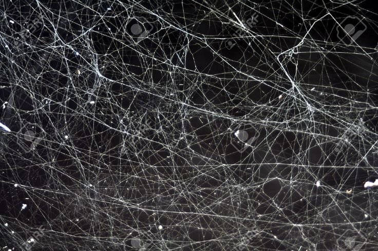 Паутина текстура