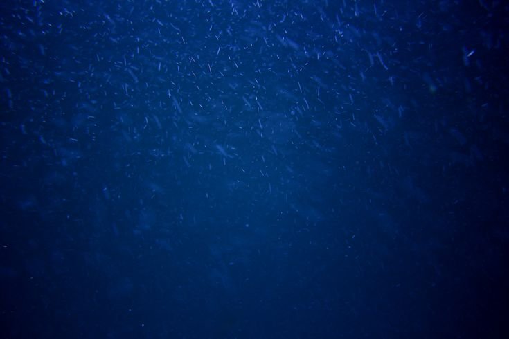 Тёмно синий фон