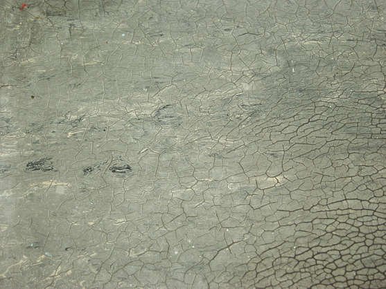 Потрескавшаяся краска