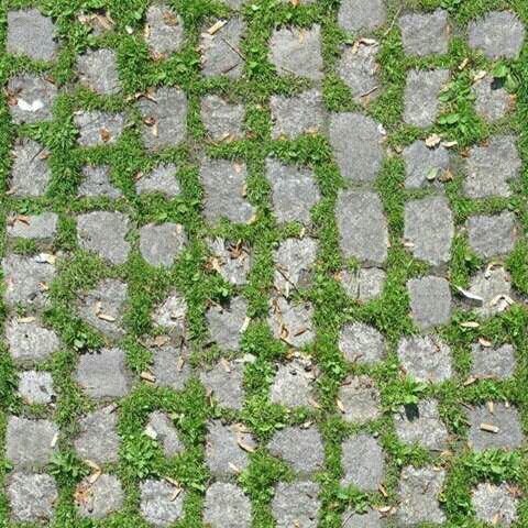 Тротуарная плитка с травой