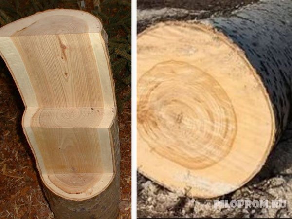 Тополь древесина