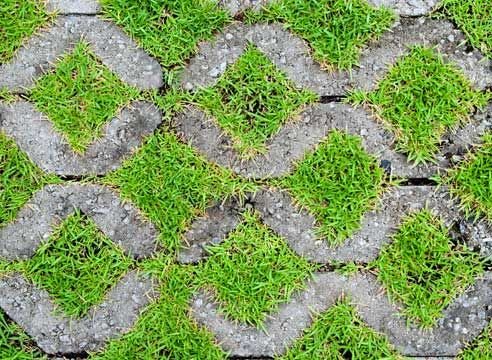 Экопарковка газонная решетка текстура