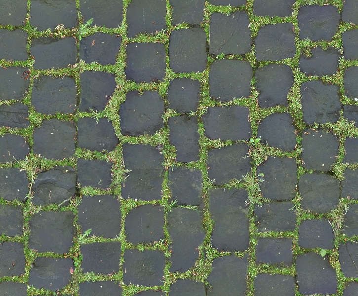 Тротуарная плитка с травой
