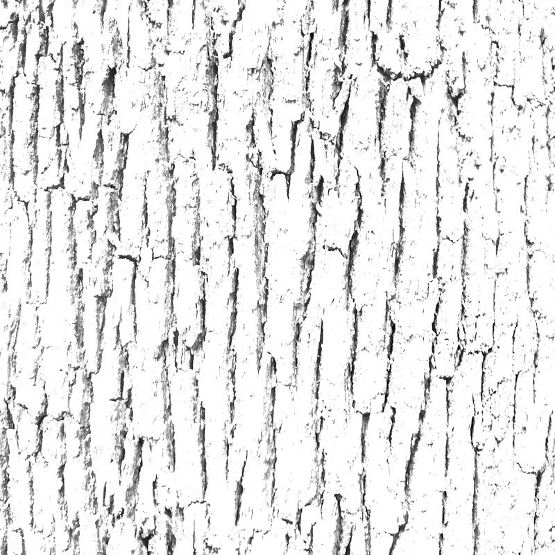 Текстура коры дерева