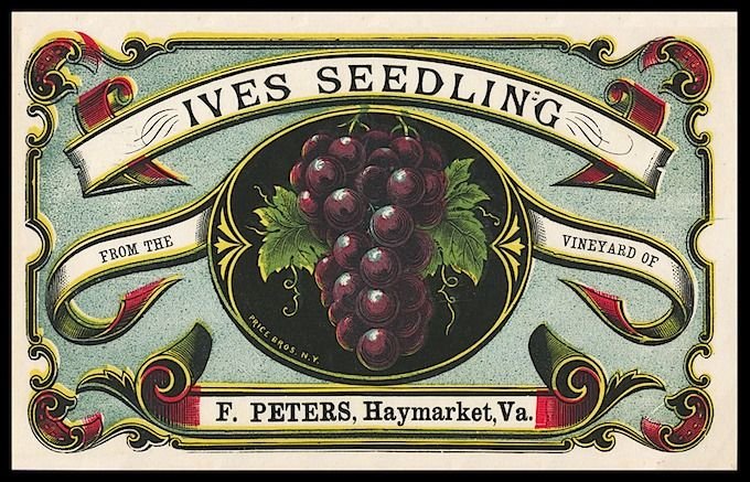 Этикетка для вина