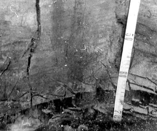 Слоистая криогенная текстура