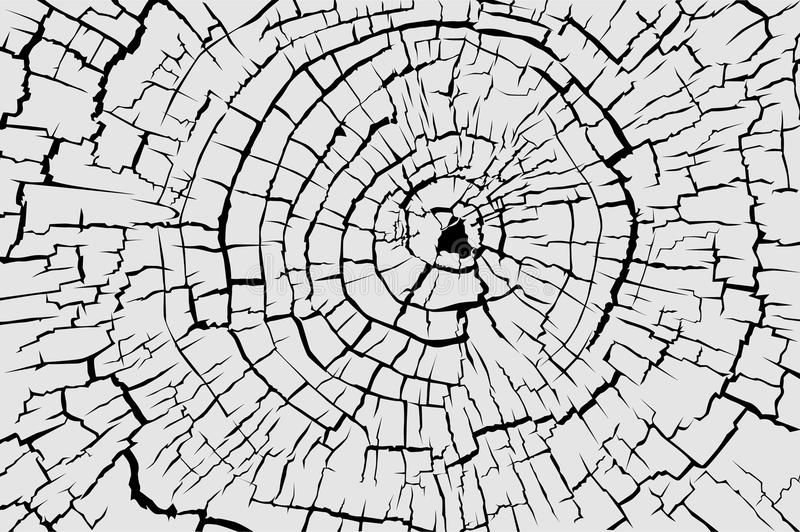 Трещина в дереве