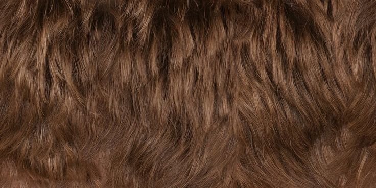 Коричневый мех