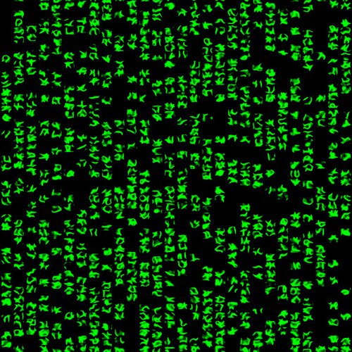 Матрица 101011010010101001010