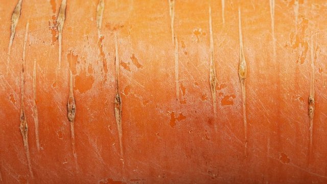 Текстура моркови