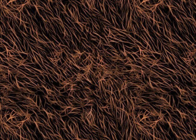 Текстура волос