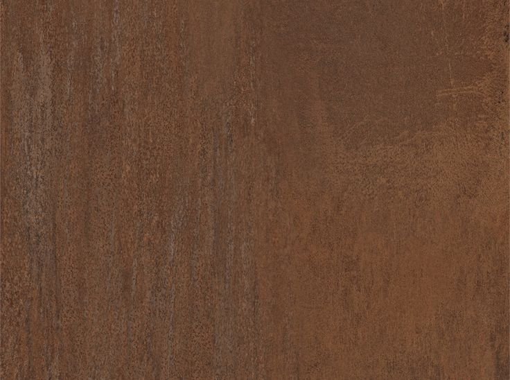 Орех Донской u9611