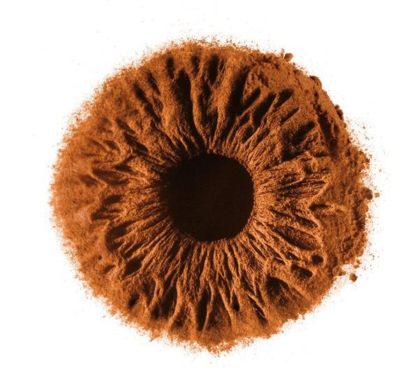 Радужка глаза