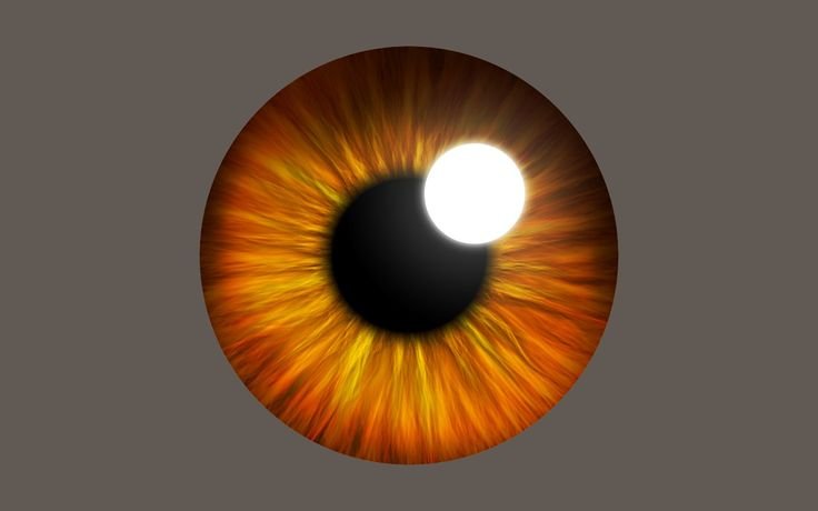 Радужка глаза