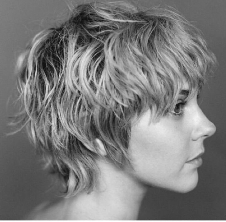 Шегги стрижка