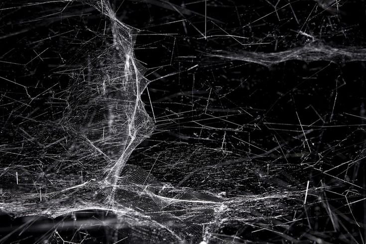 Паутина реалистичная