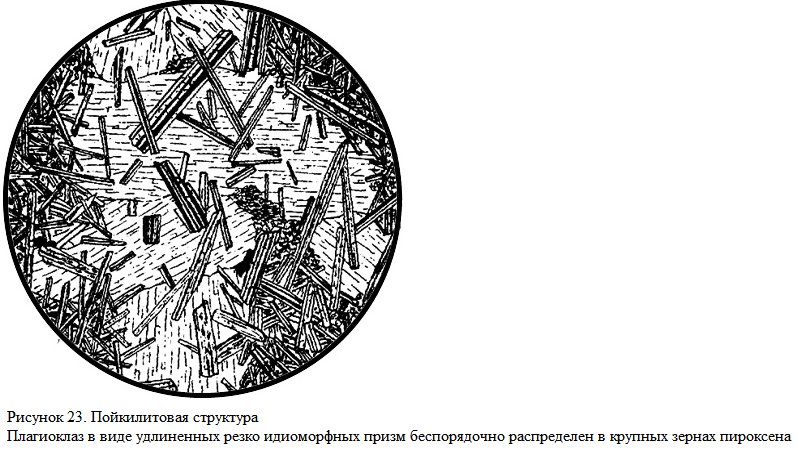 Пойкилитовая структура в шлифе