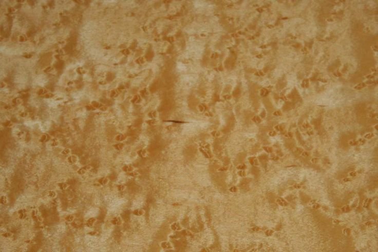 Шпон клен птичий глаз