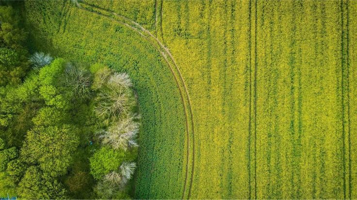 Земля - вид сверху