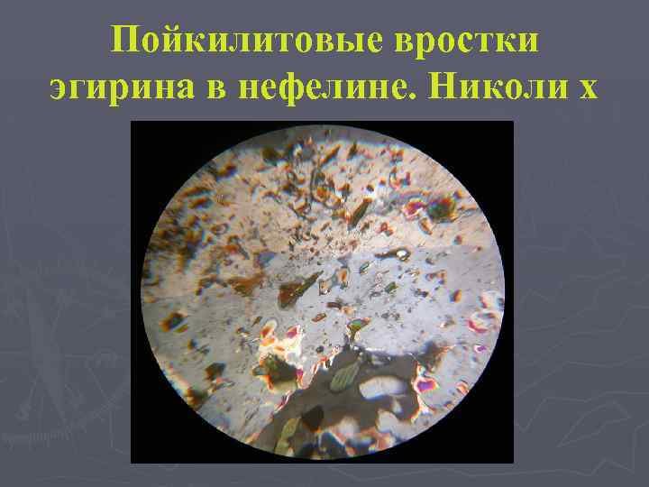 Пойкилитовая структура