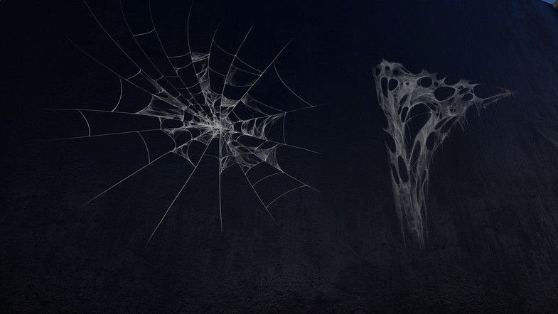 Паутина фон