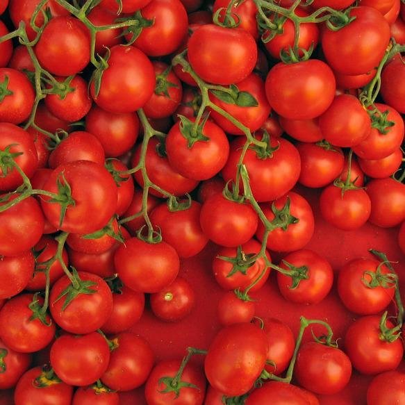 Томат Руфус f1