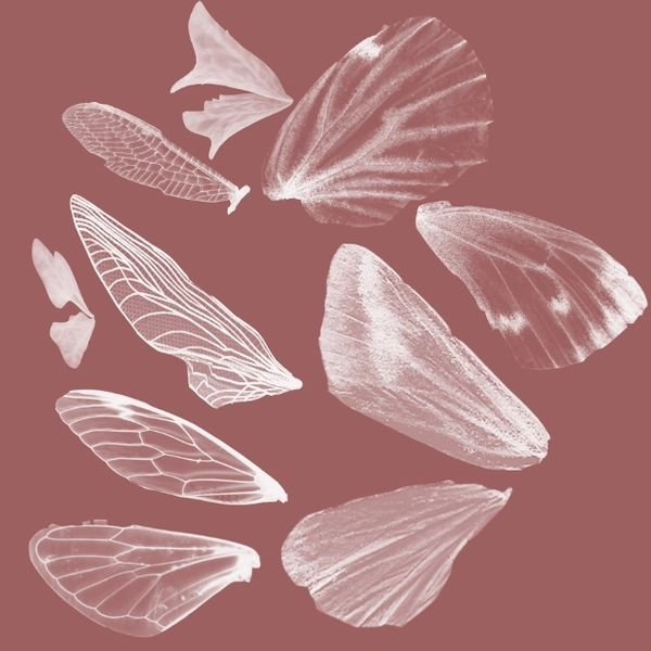 Крылышки феи