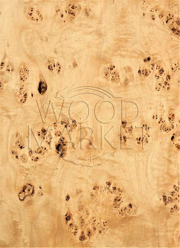 Шпон карельской березы